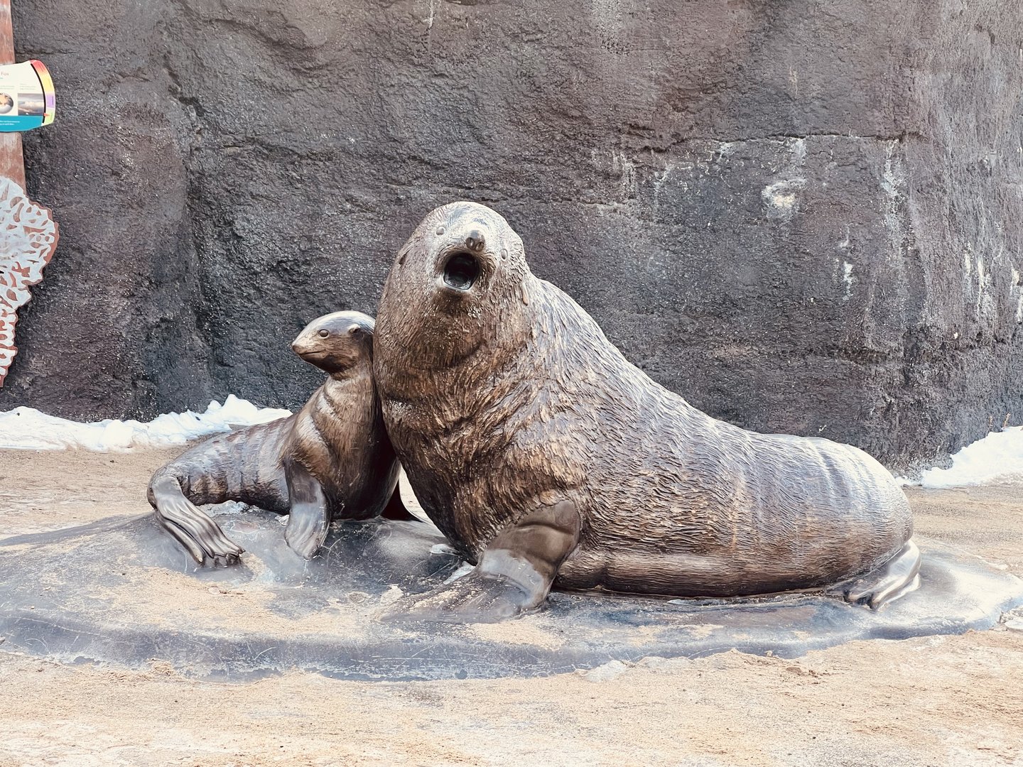 Zoo Art - Fur Seals