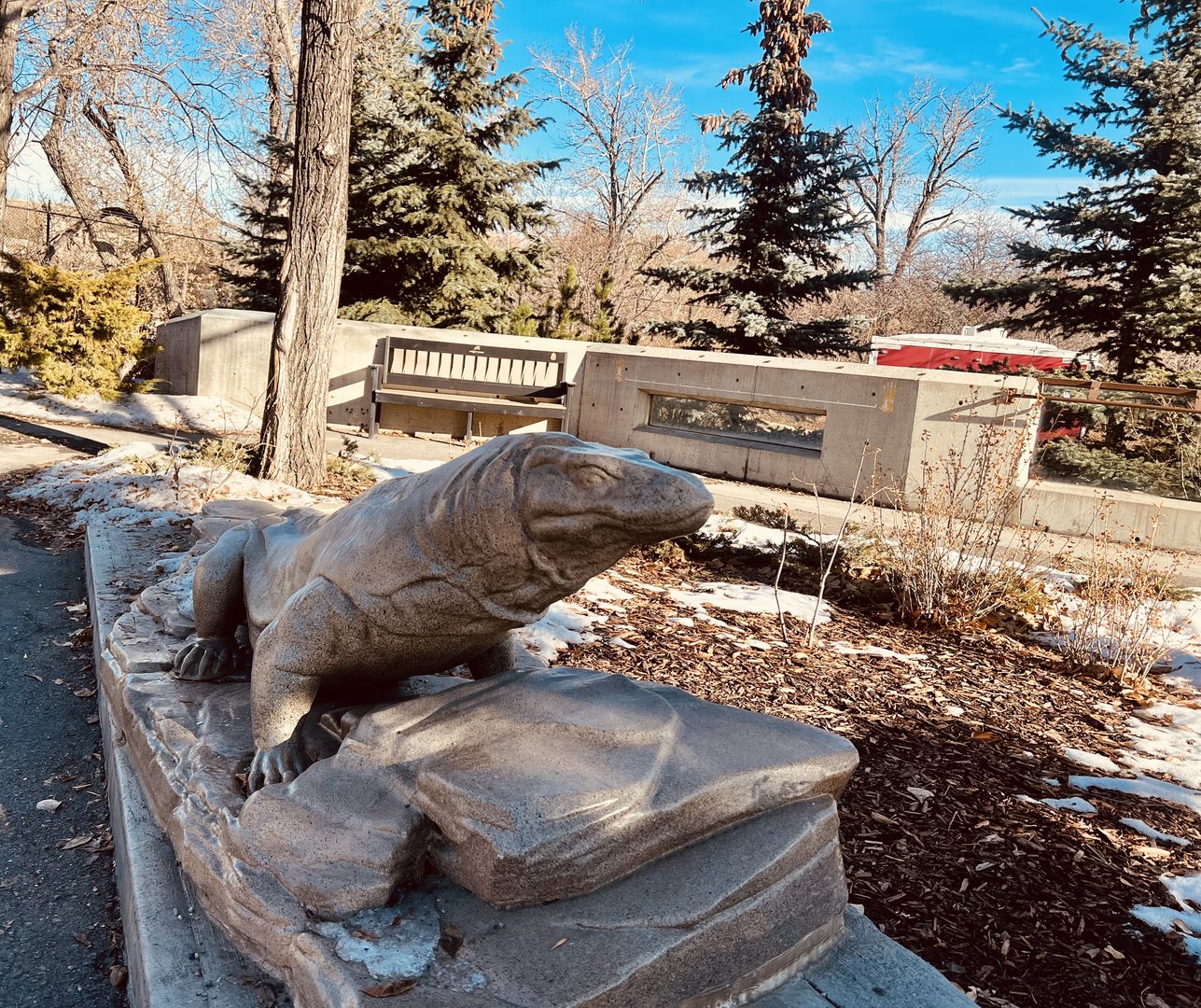 Zoo Art - Komodo Dragon