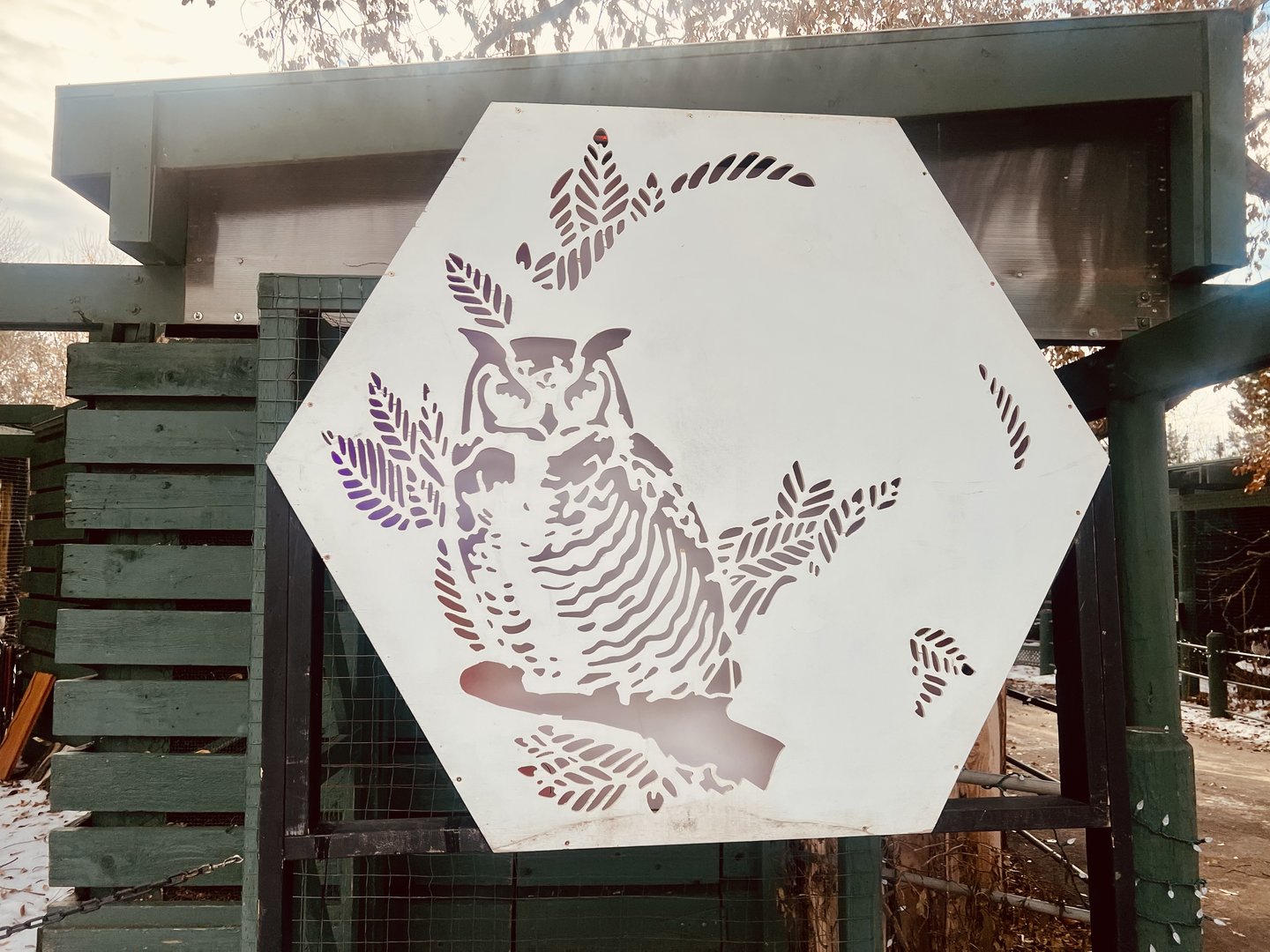 Zoo Art - Owl