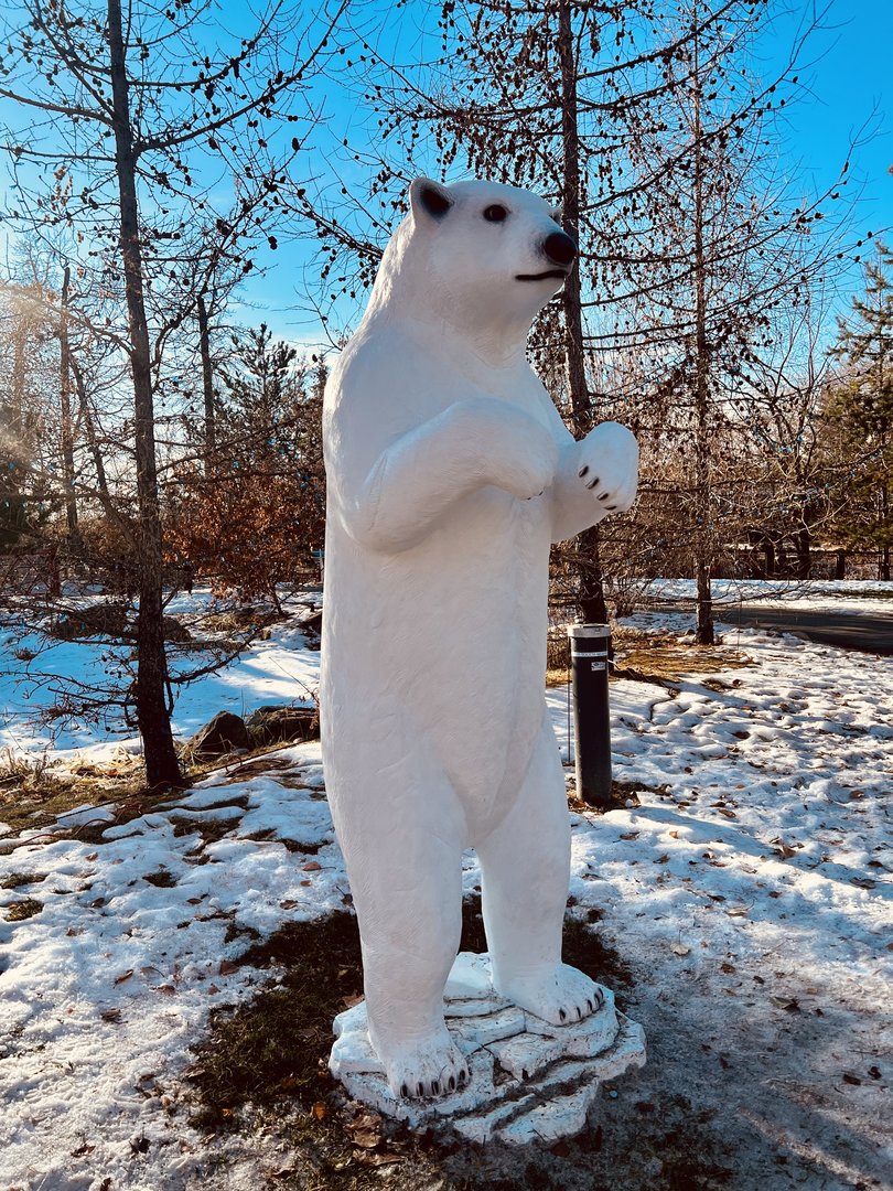 Zoo Art - Polar Bear