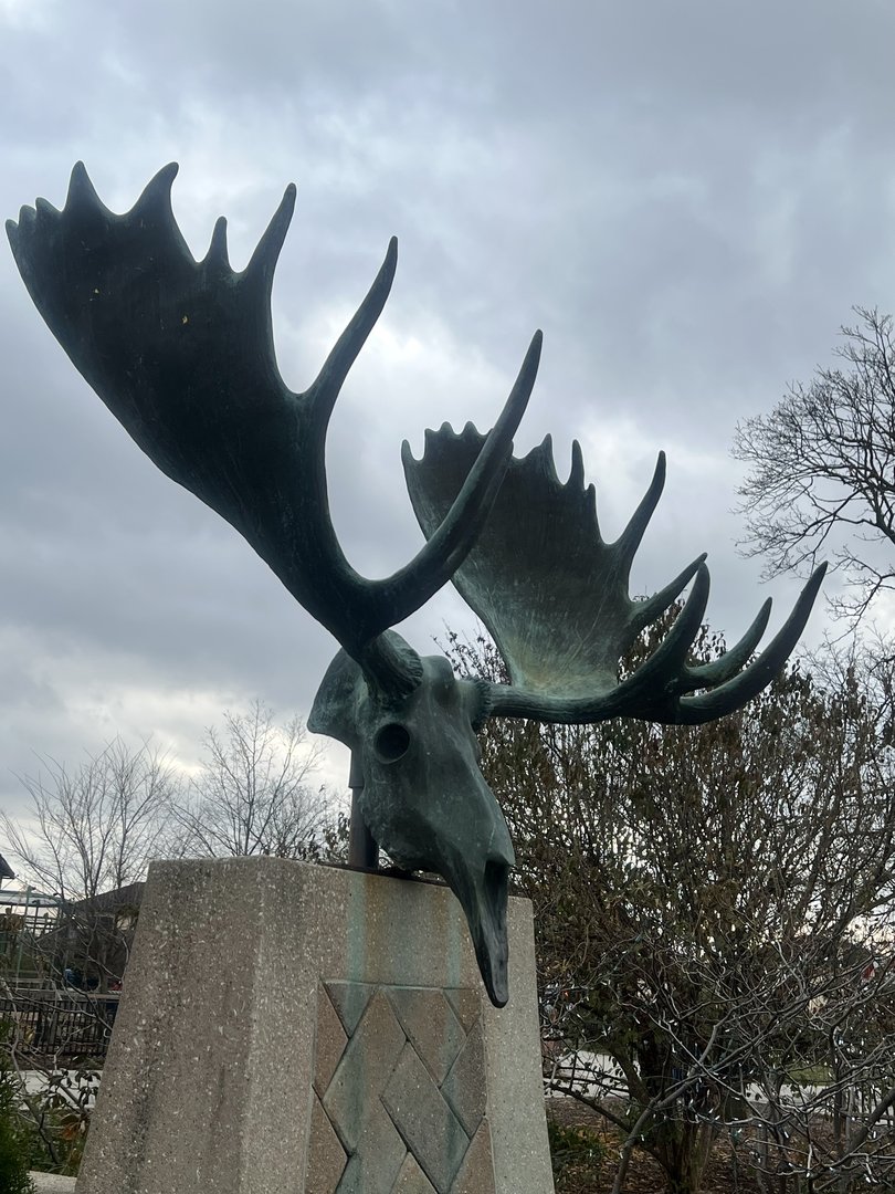 Zoo Art - Roosevelt Plaza