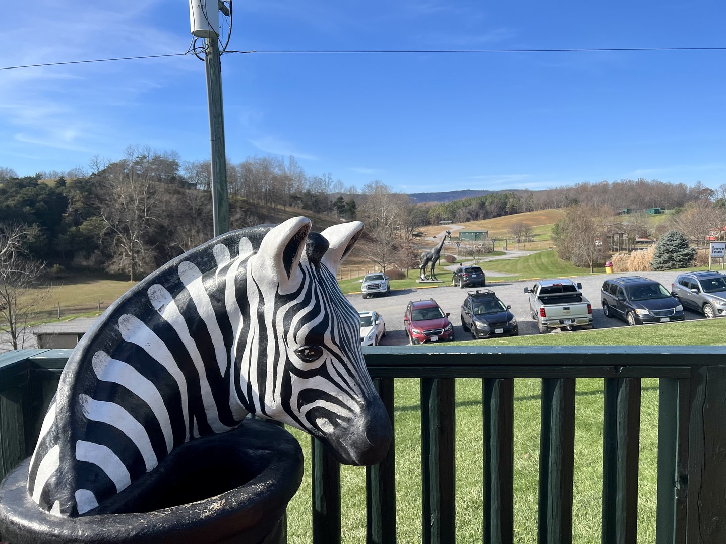Zoo Art.  Same trash bin can be found at Gulf Breeze Zoo sister facility to VSP