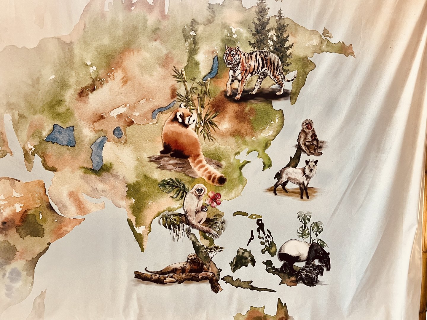 Zoo Art - “Silk” Painting - I Love These