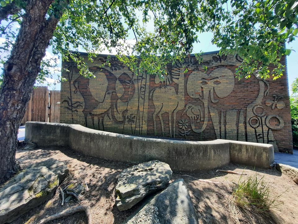 Zoo Art Wall