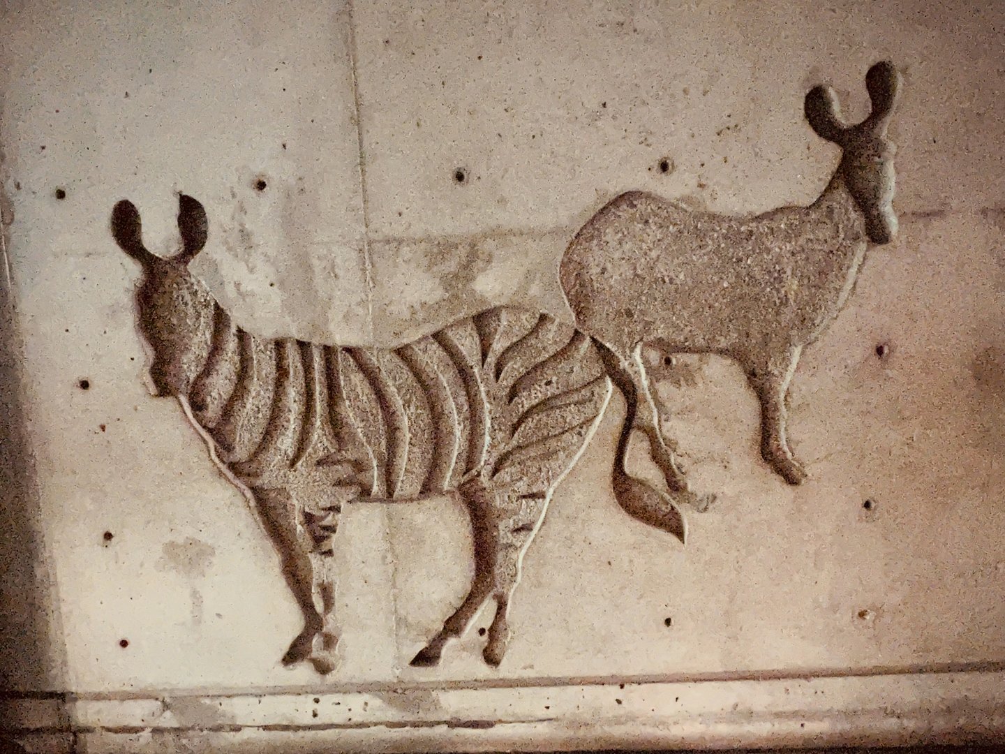 Zoo Art - Zebra and Ass