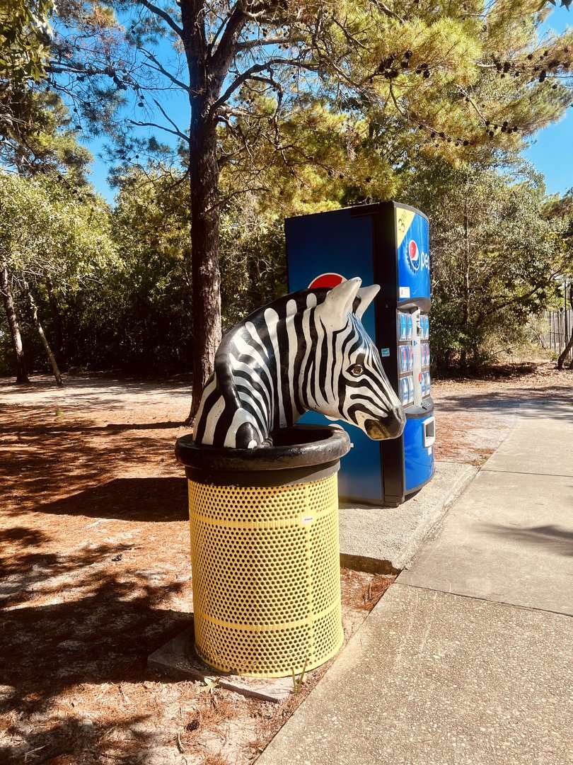 Zoo “Art”