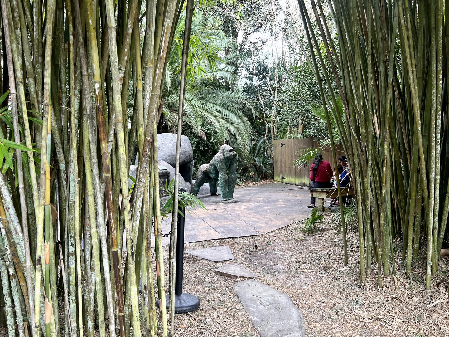 Zoo Art