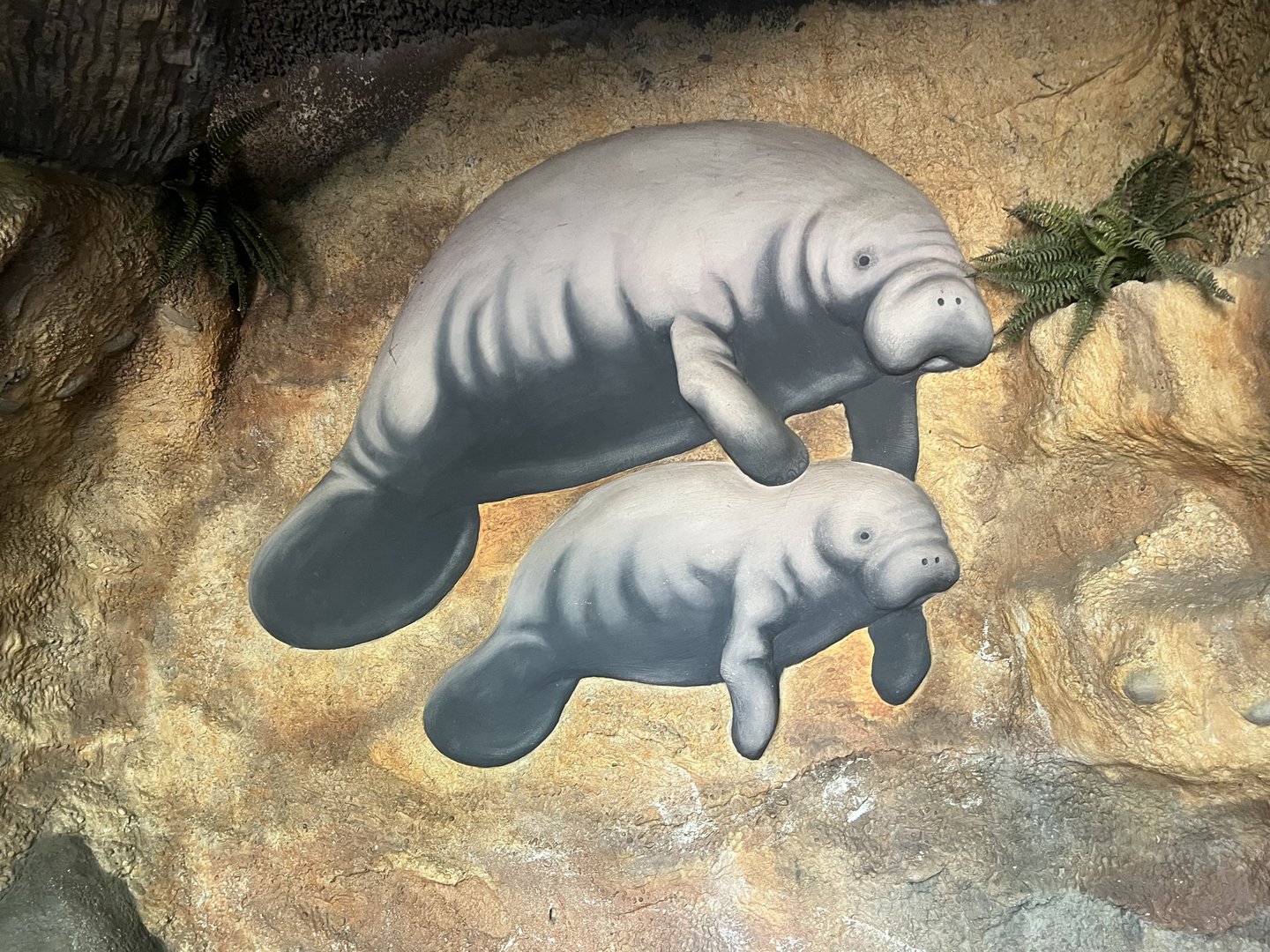 Zoo Art