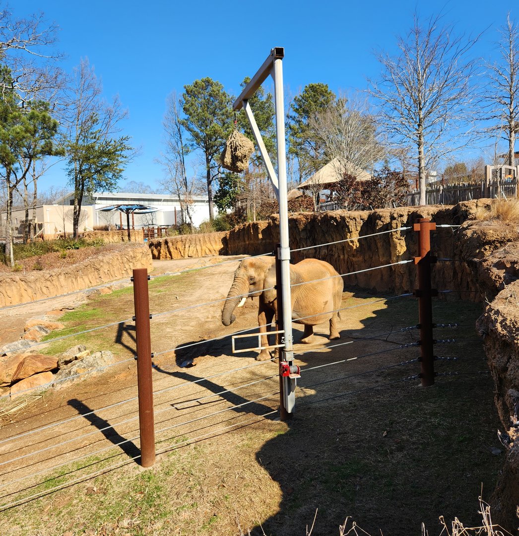 Zoo Atlanta (2023) - Elephant exhibit
