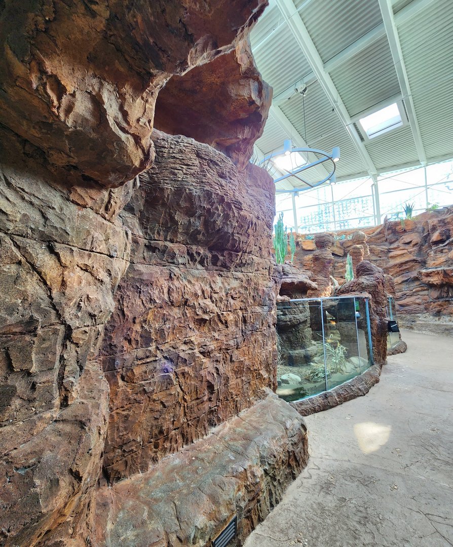 Zoo Atlanta (2023) - Reptile house interior (SSS)