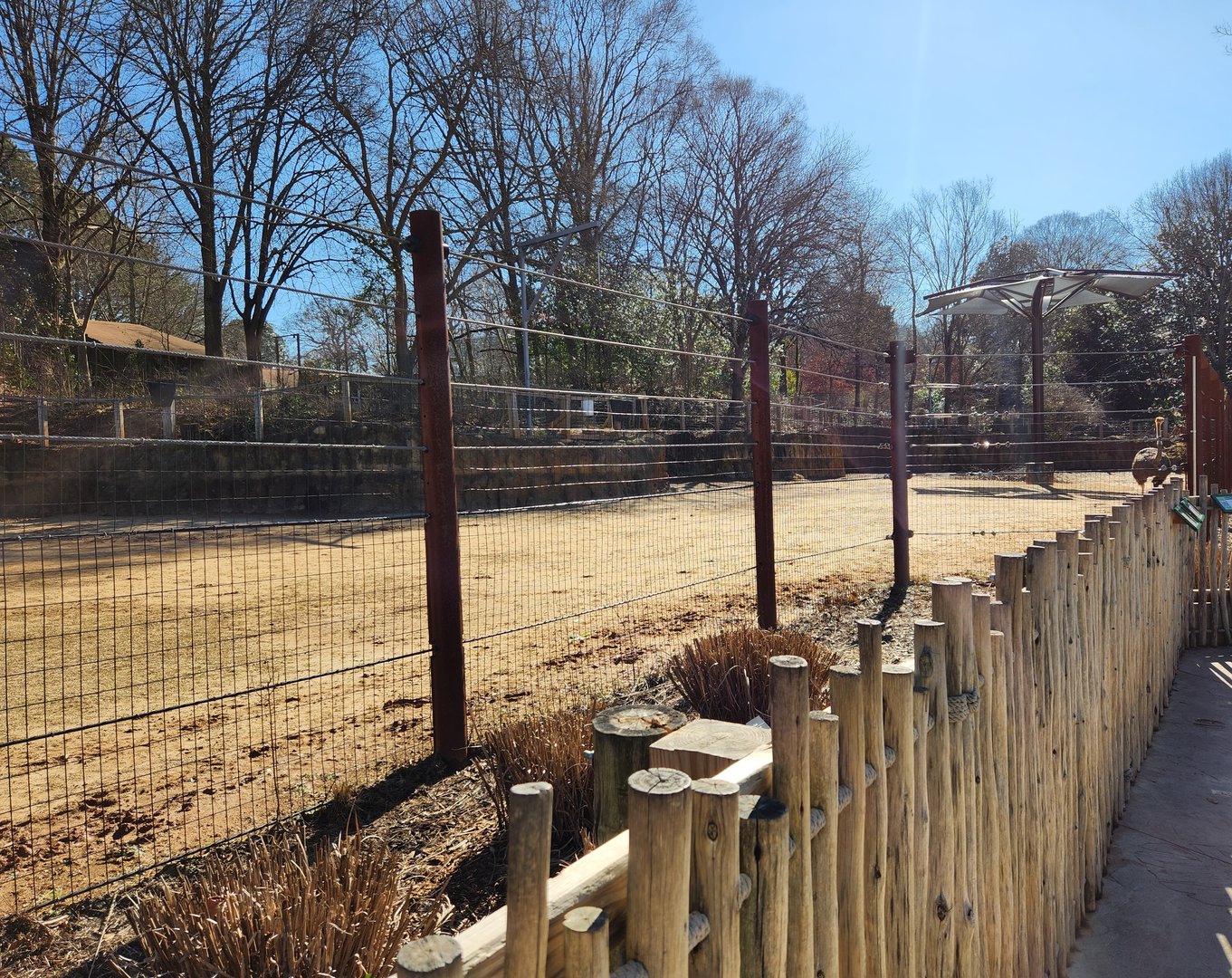 Zoo Atlanta (2023) - Twiga Terrace