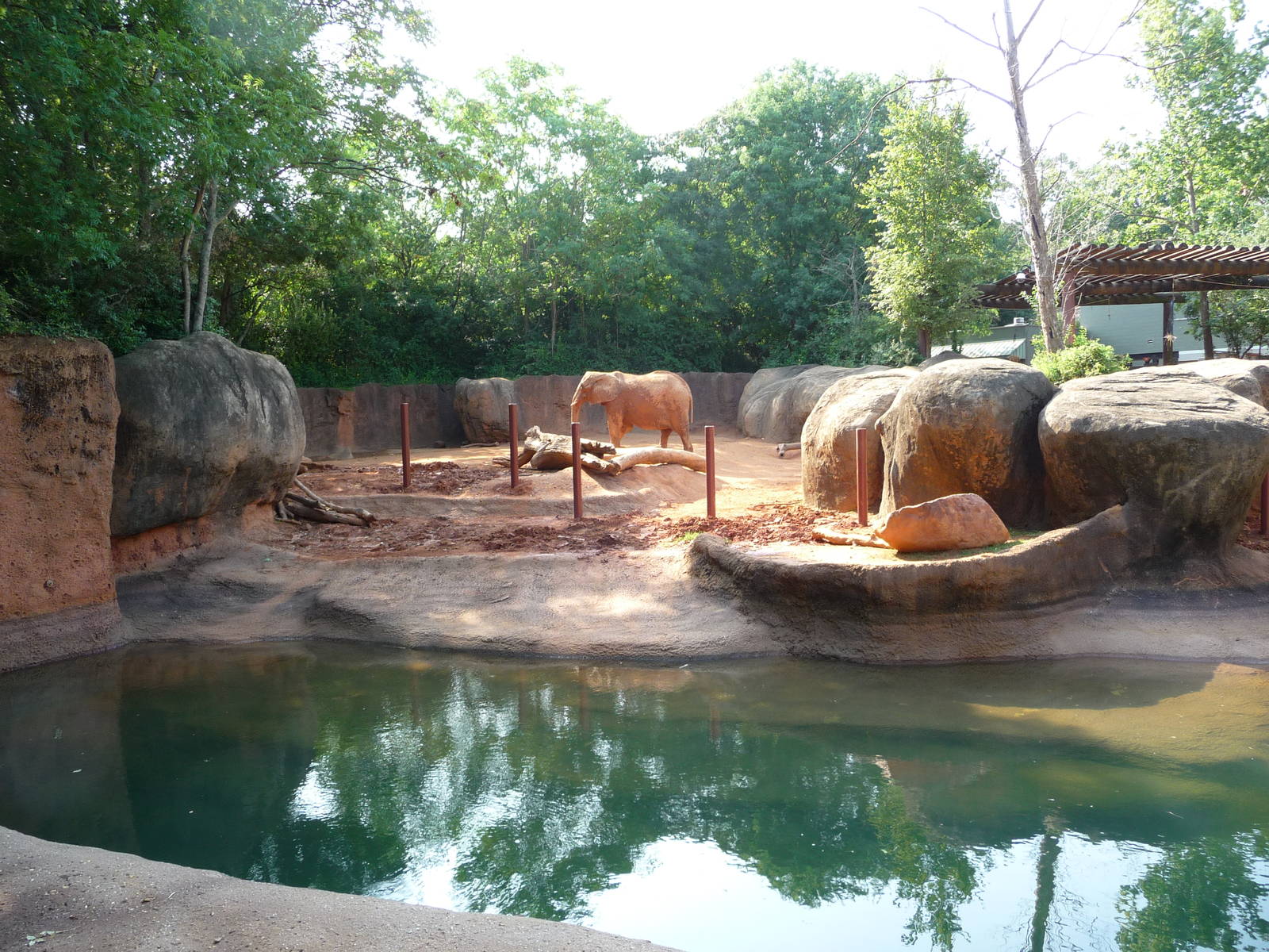Zoo Atlanta - African Elephant Exhibit