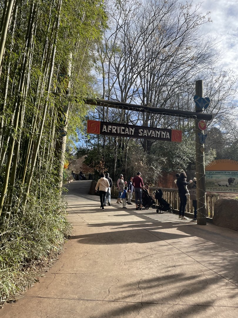 Zoo Atlanta- African Savanna Entrance