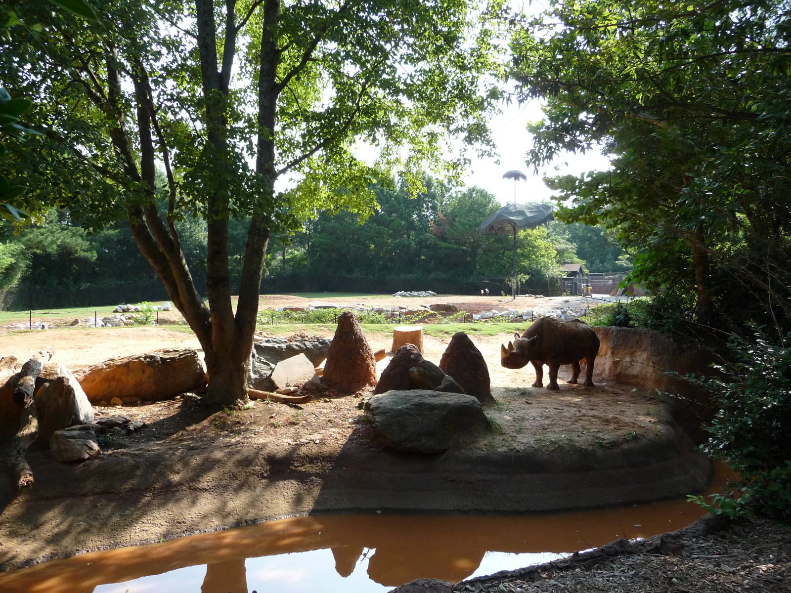 Zoo Atlanta - Black Rhino Exhibit