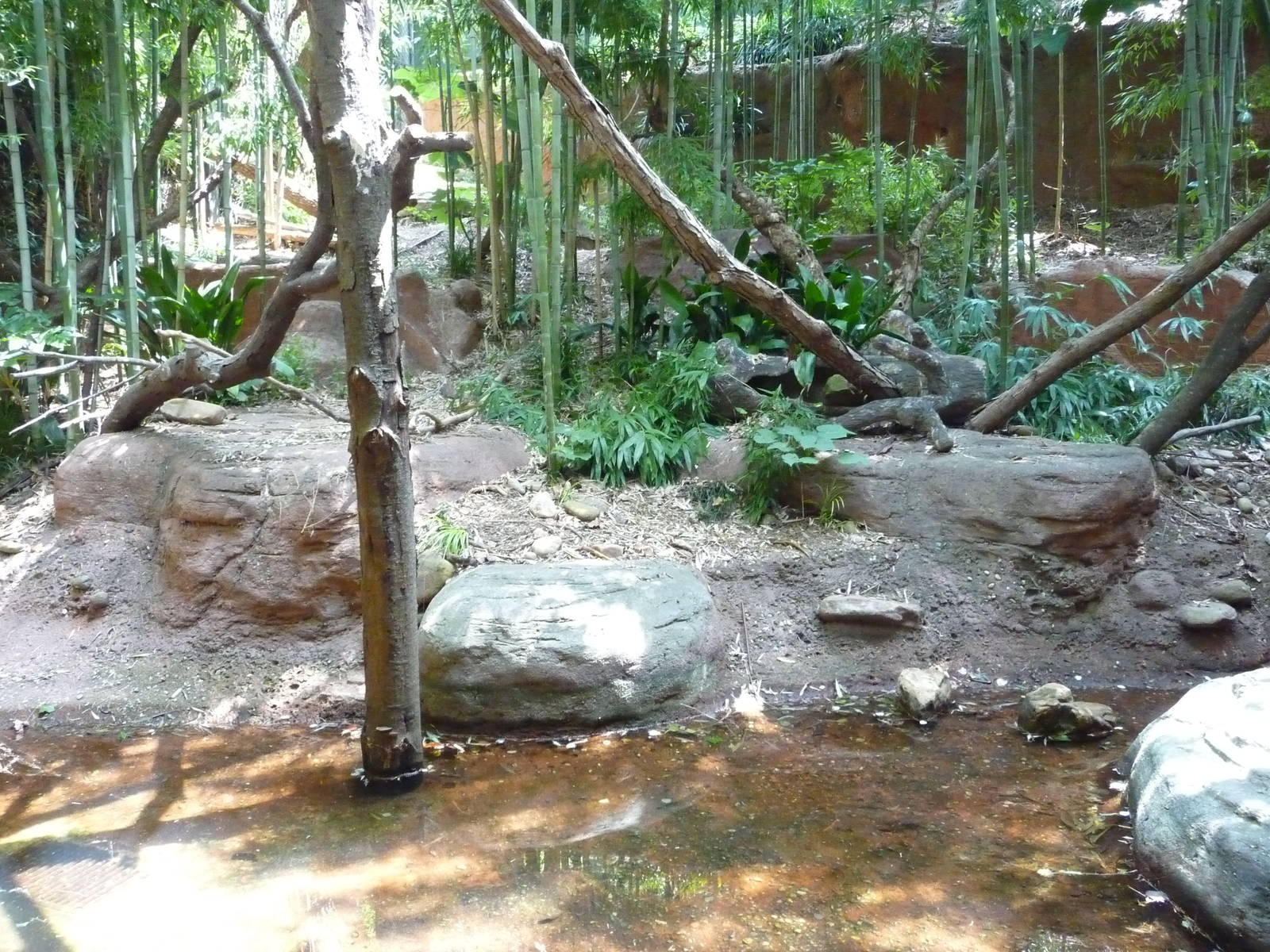 Zoo Atlanta - Clouded Leopard Exhibit