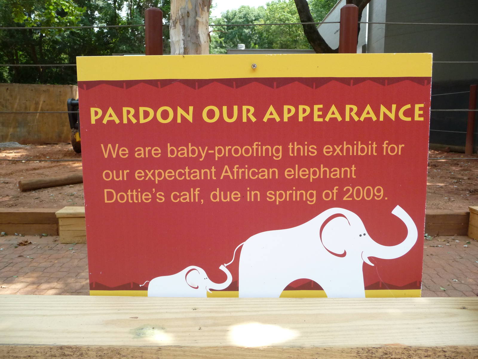 Zoo Atlanta - Elephant Baby Construction