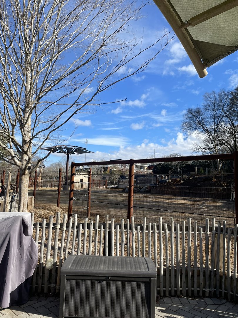 Zoo Atlanta- Giraffe, Ostrich, Bontebok, and Zebra Exhibit