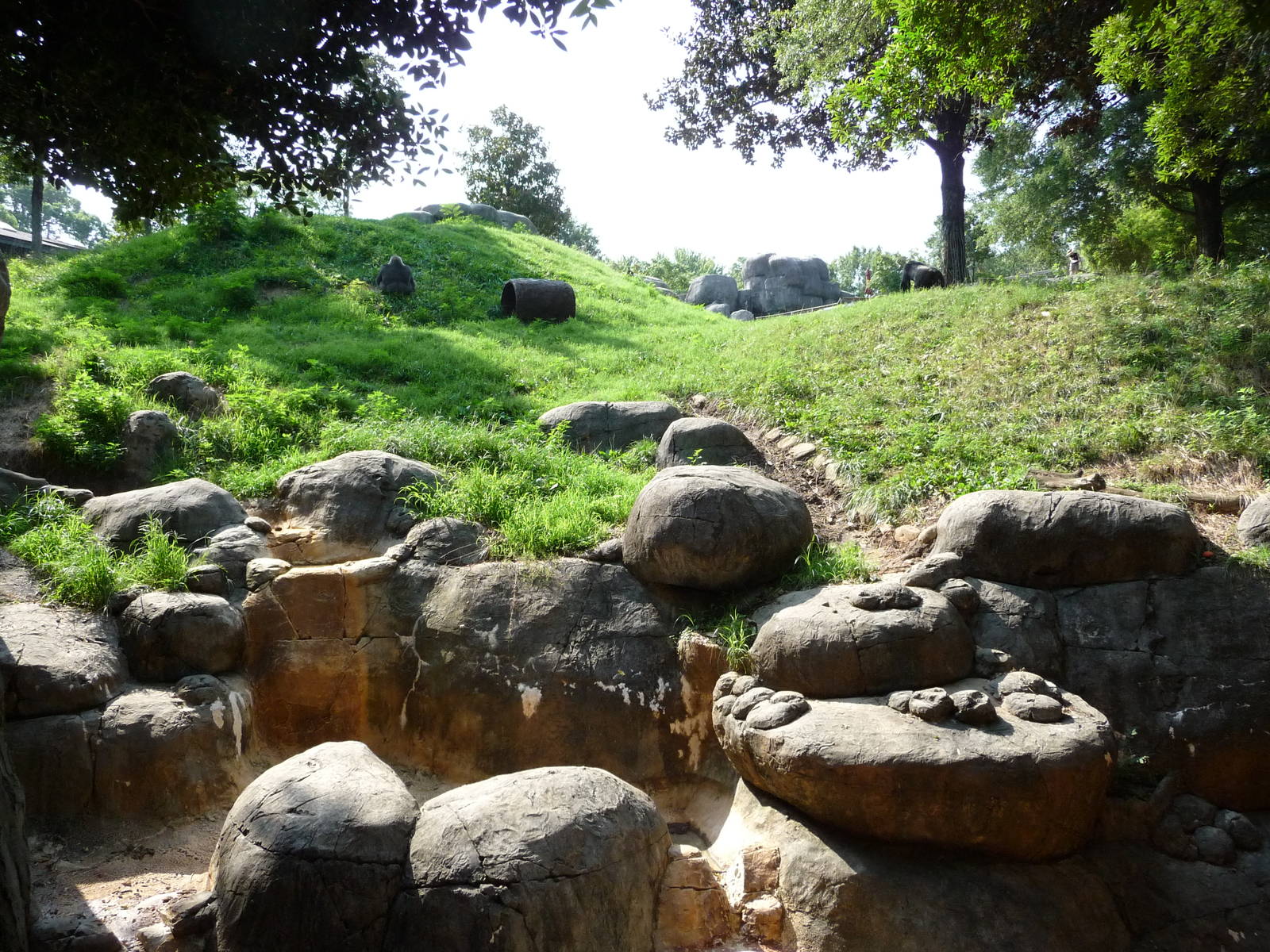 Zoo Atlanta - Gorilla Exhibit