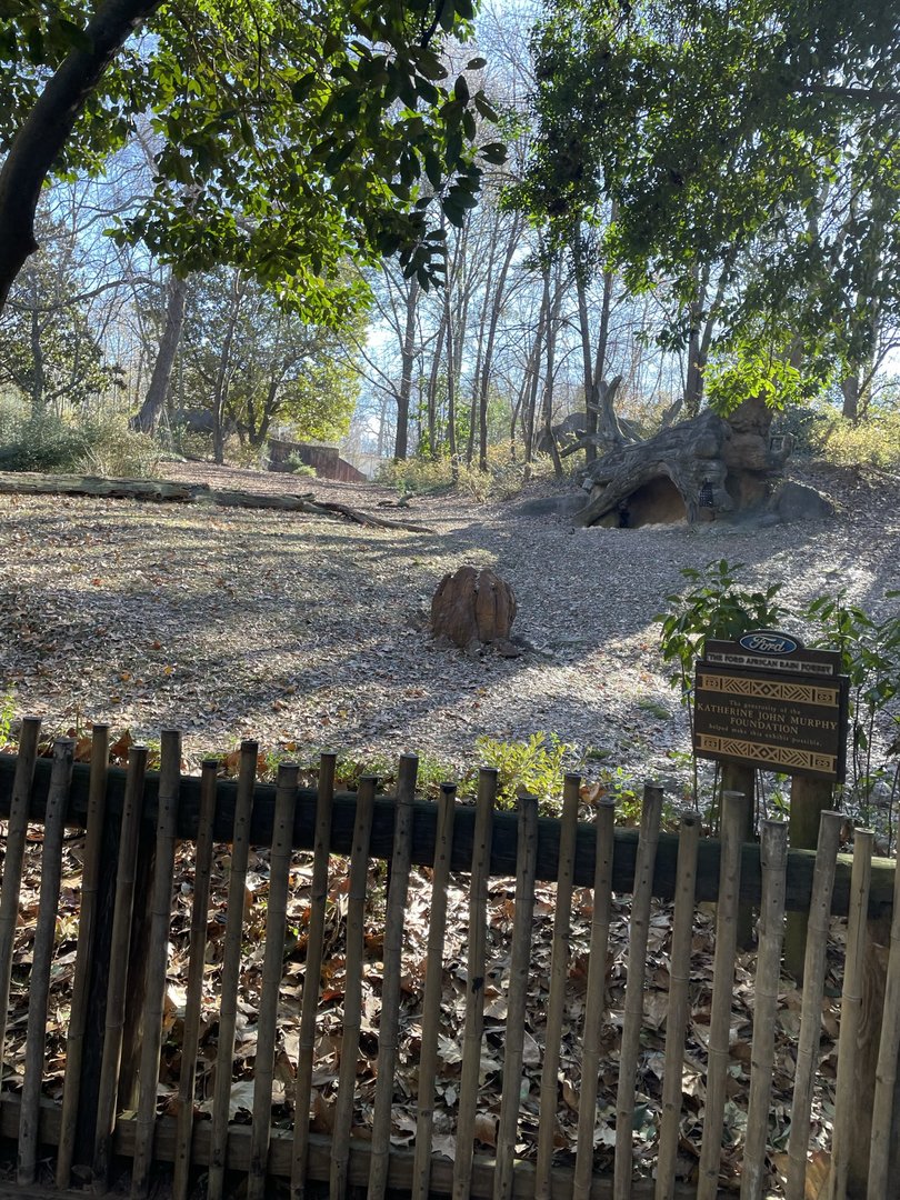 Zoo Atlanta- Gorilla Exhibit