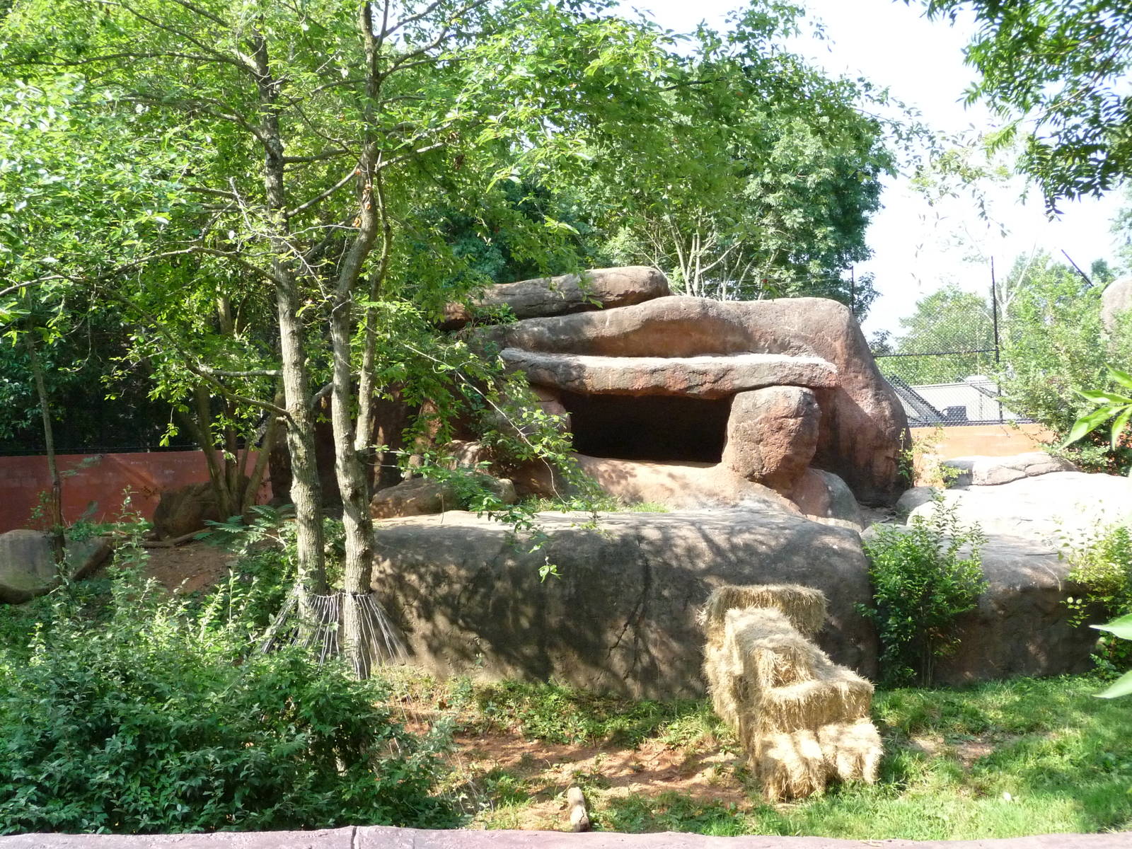 Zoo Atlanta - Lion Exhibit