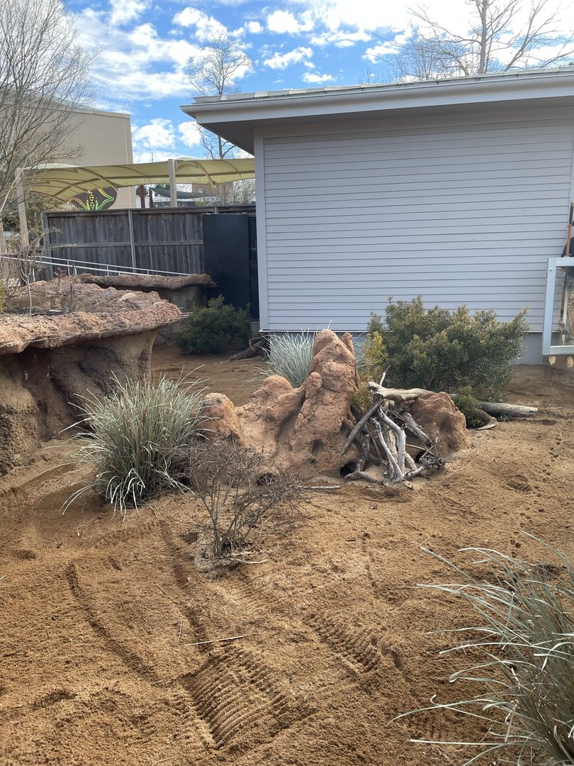 Zoo Atlanta- Meerkat Exhibit