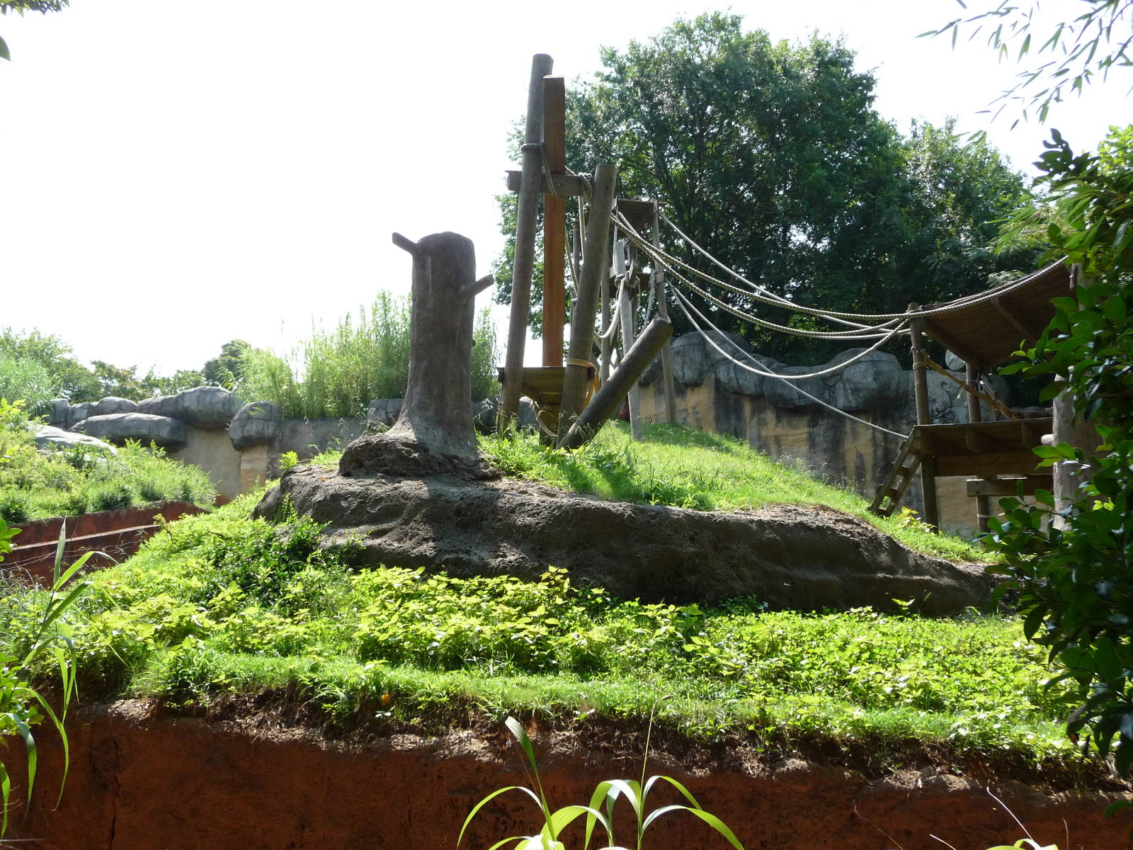 Zoo Atlanta - Orangutan Exhibit