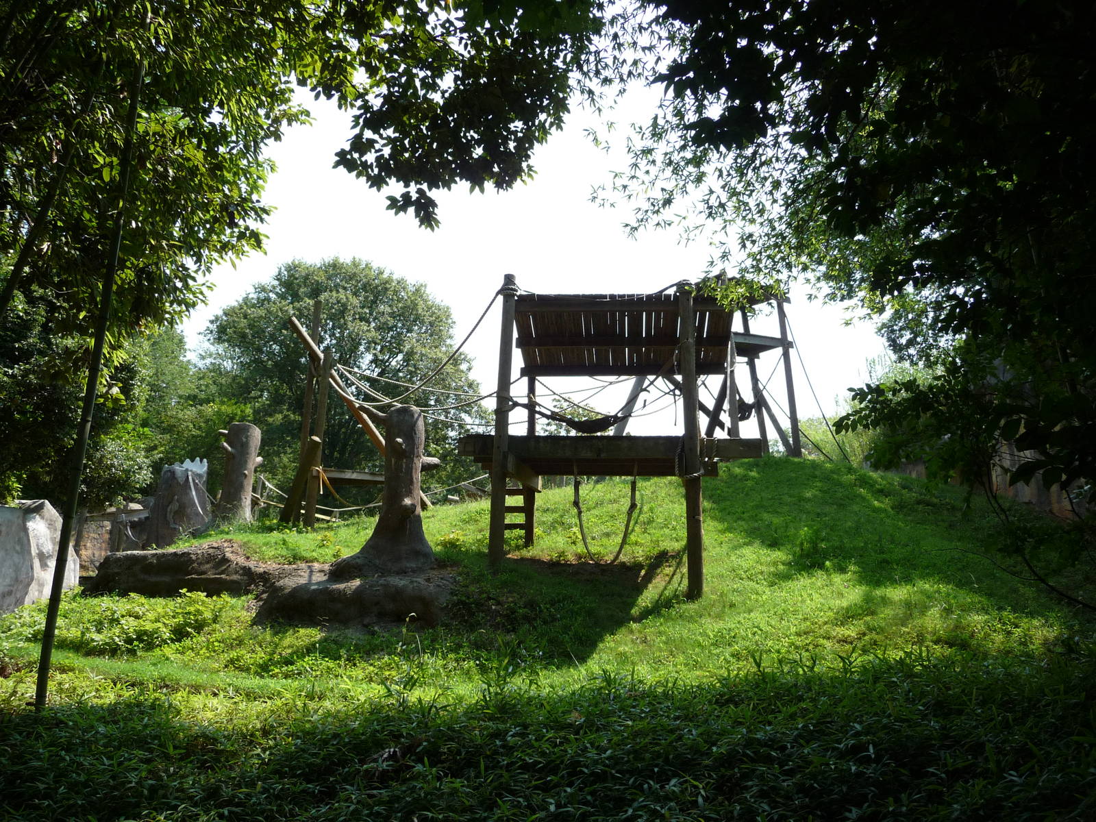 Zoo Atlanta - Orangutan Exhibit