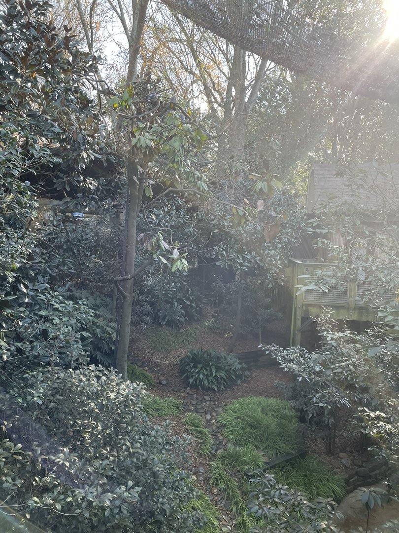 Zoo Atlanta- The Living Treehouse Aviary