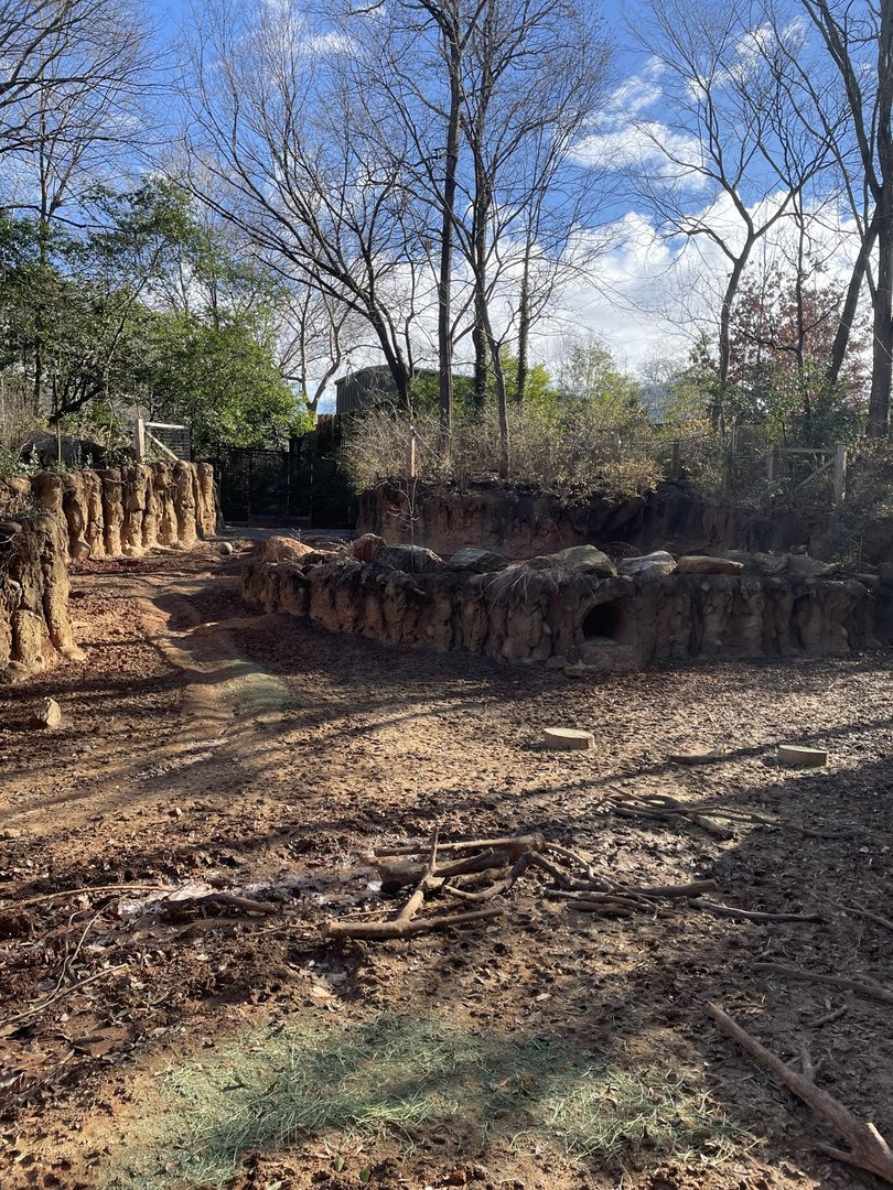 Zoo Atlanta- Warthog Exhibit