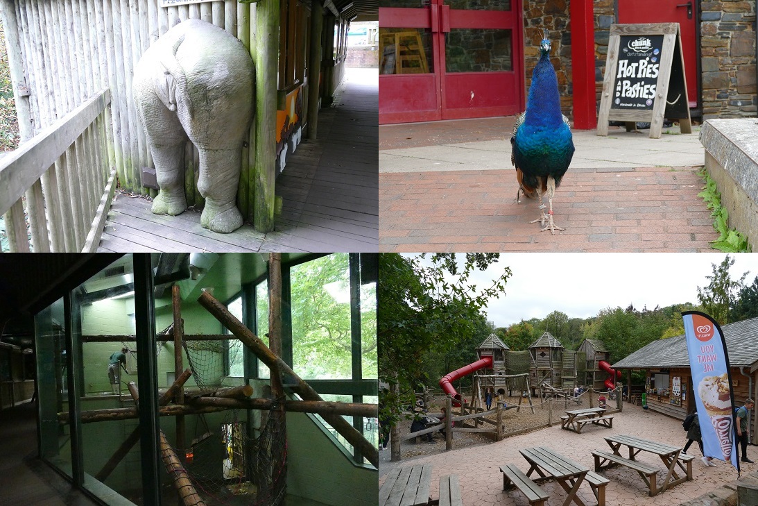 Zoo attractions