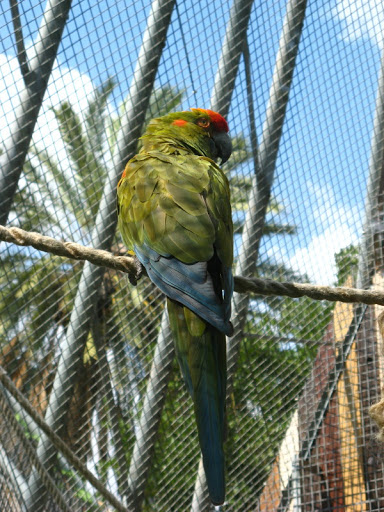 Zoo Barcelona 14.09.2009