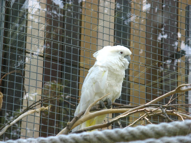 Zoo Barcelona 14.09.2009