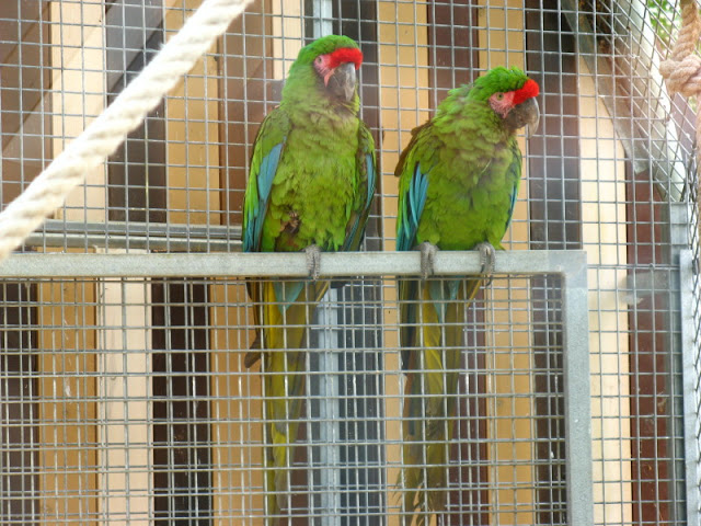 Zoo Barcelona 14.09.2009