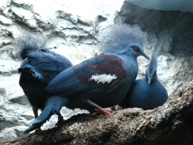 Zoo Barcelona 14.09.2009