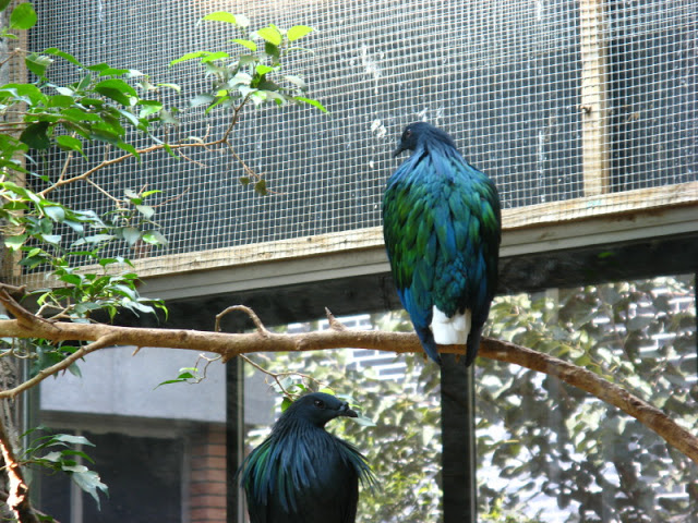 Zoo Barcelona 14.09.2009