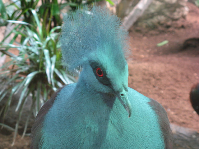 Zoo Barcelona 14.09.2009