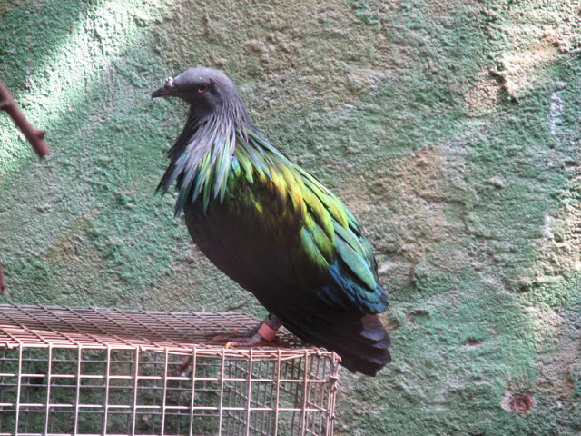Zoo Barcelona 14.09.2009