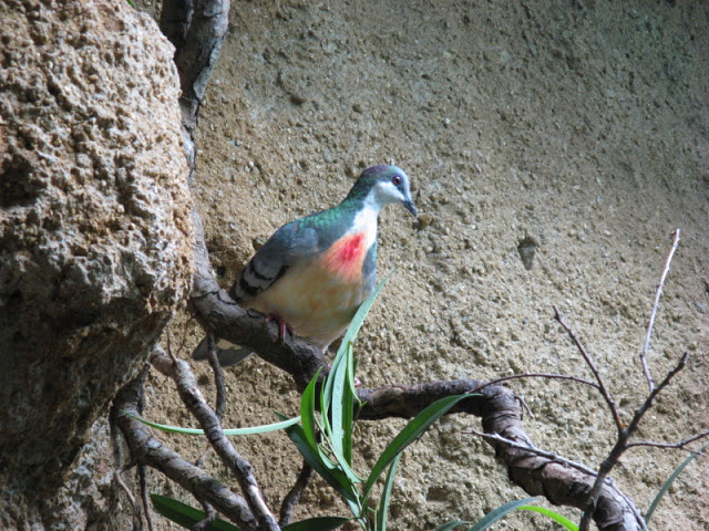 Zoo Barcelona 14.09.2009