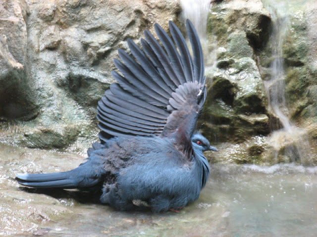 Zoo Barcelona 14.09.2009