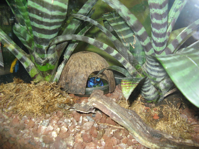 Zoo Barcelona 14.09.2009