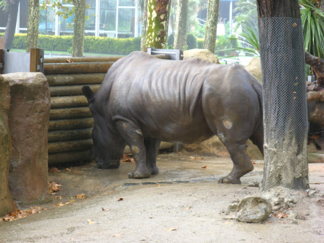 Zoo Barcelona 14.09.2009