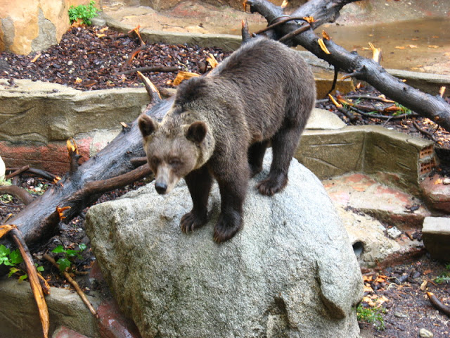 Zoo Barcelona 14.09.2009
