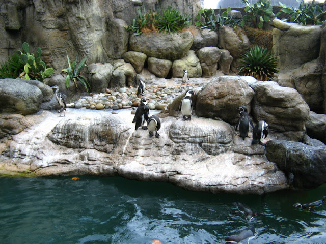 Zoo Barcelona 14.09.2009