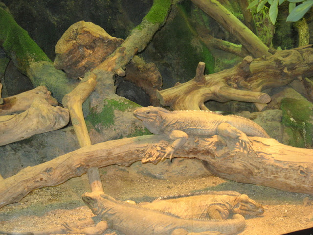 Zoo Barcelona 14.09.2009