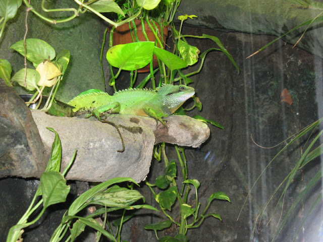 Zoo Barcelona 14.09.2009