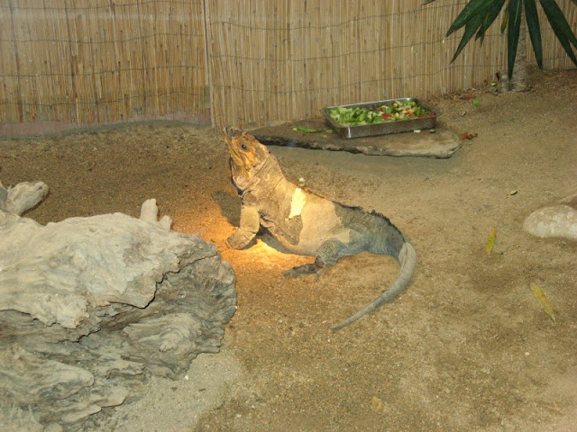 Zoo Barcelona 14.09.2009