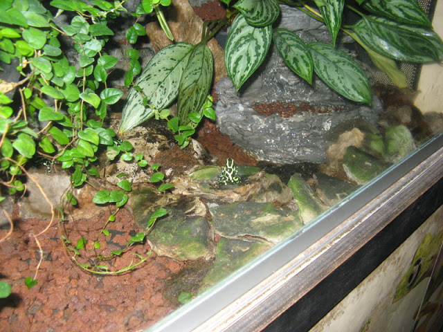 Zoo Barcelona 14.09.2009