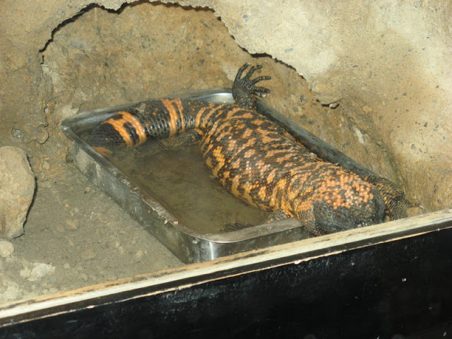 Zoo Barcelona 14.09.2009