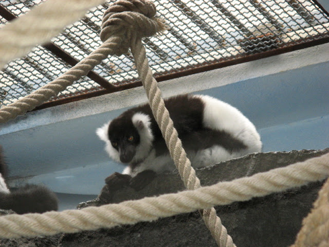 Zoo Barcelona 14.09.2009