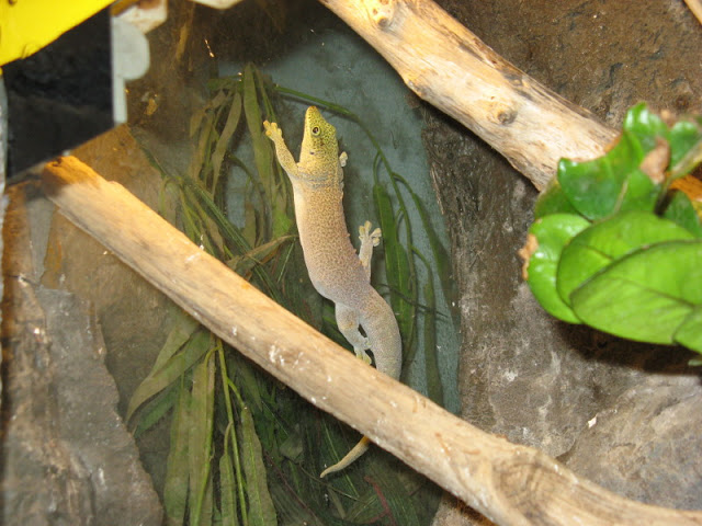 Zoo Barcelona 14.09.2009